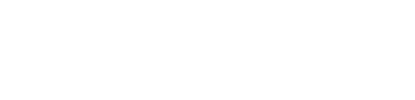 Escort — authorized dealer